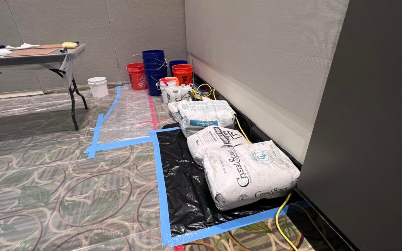 477428830_937521705032400_4514983173936208970_n